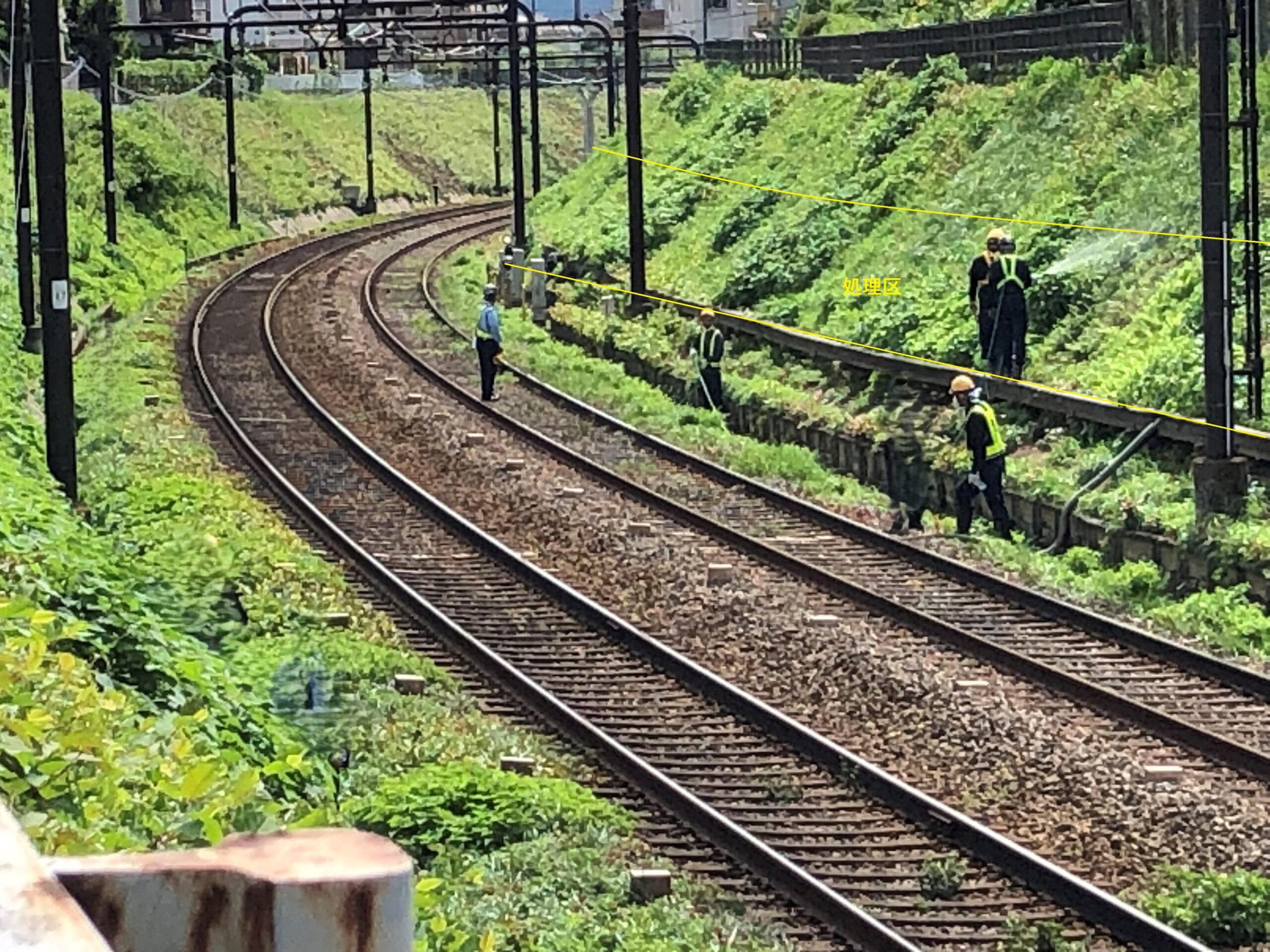 抑草剤による発芽と成長の抑制